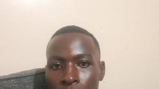 Crowned Afric's Webcam